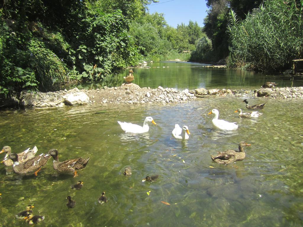 Arikanda River Garden Hotel Adrasan Bagian luar foto